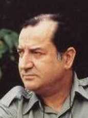Berrocal Miguel