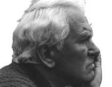 Bozzolini Silvano