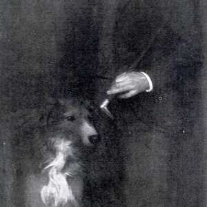 Bozzalla Giuseppe di Cesare Ferro 1902 - Giuseppe Bozzalla