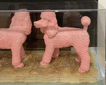 Sweetlove William - Clones: Pink Poodles