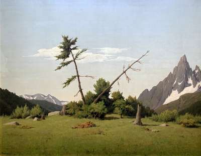 Val Ferret, Valle d'Aosta * - Vagaggini Memo