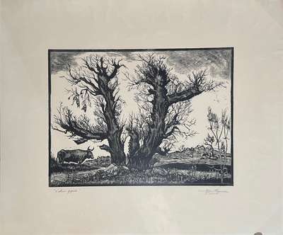 L'ultimo gigante - 1968 - Branca Remo 