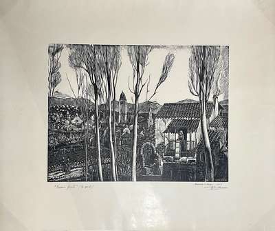 Baronia fiorita (la quiete)  - Branca Remo 