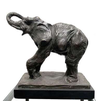 Elephant - Mastroianni Alberto