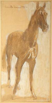 Horse - Innocenti Camillo