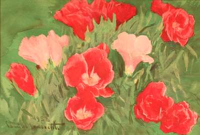 Hibiscus - Innocenti Camillo