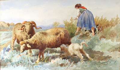 Grazing goats - Loria Vincenzo