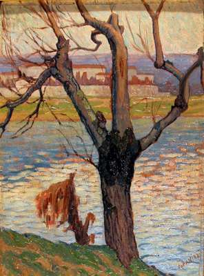L'albero sul fiume - Panizzi Arturo