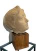 Head of a woman - Calvani Bruno